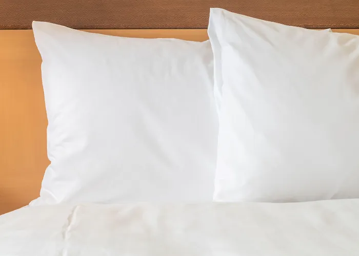 Express By Ihg Hotel 3*